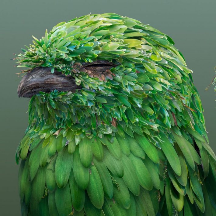Amazing-Photographic-Illustrations 