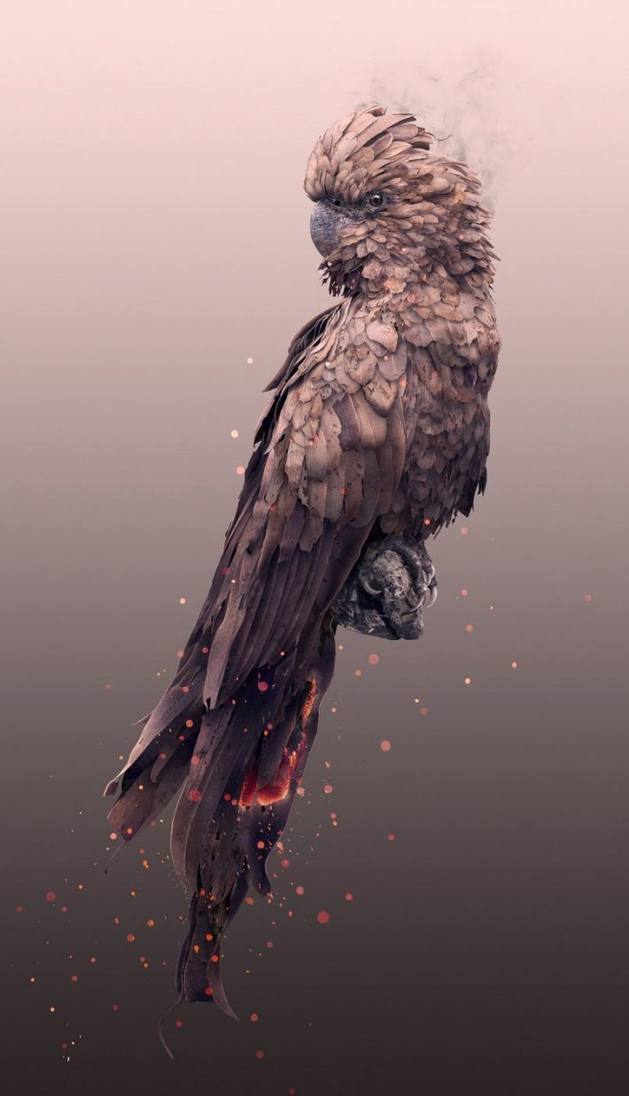 Amazing-Photographic-Illustrations 