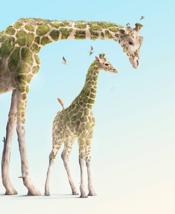 Amazing-Photographic-Illustrations 