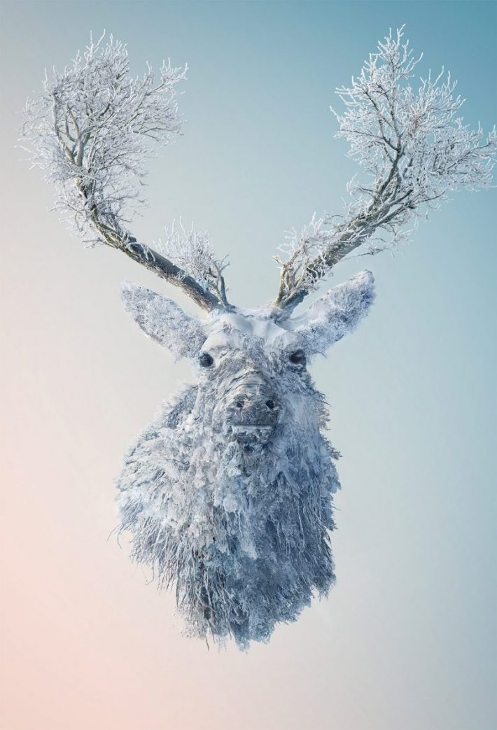 Amazing-Photographic-Illustrations 