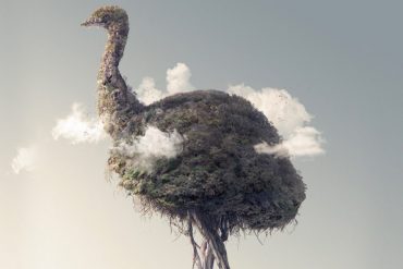 Amazing Photographic Illustrations