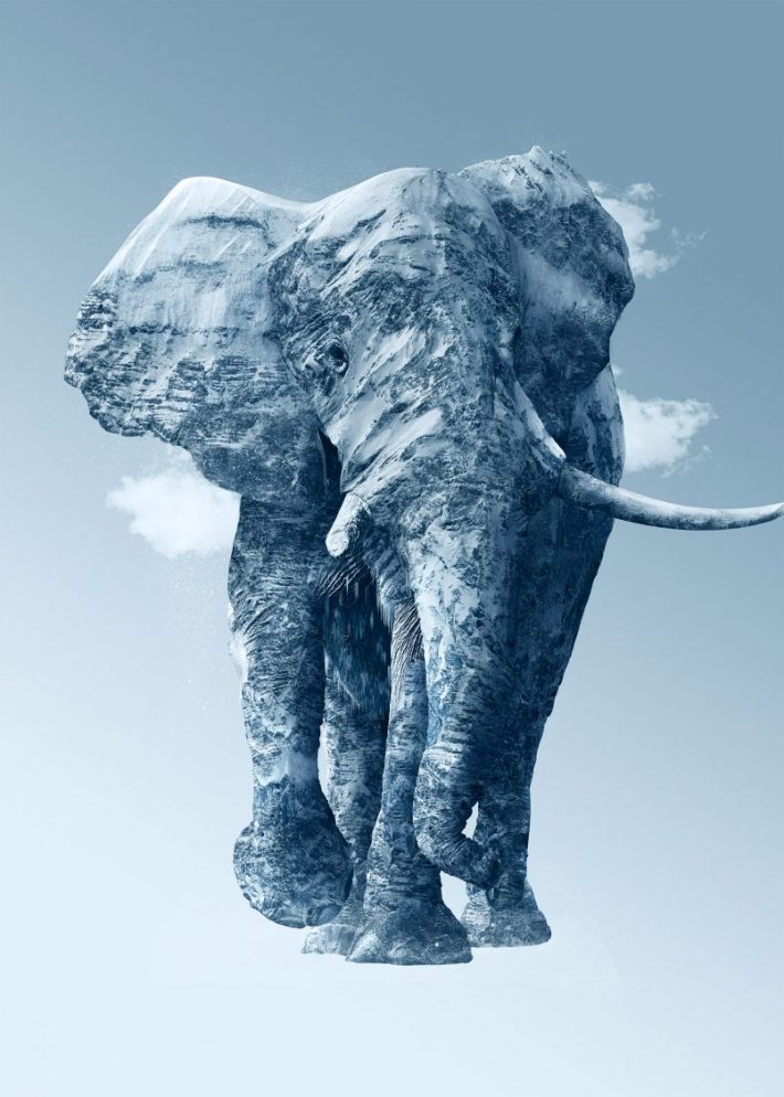 Amazing-Photographic-Illustrations 