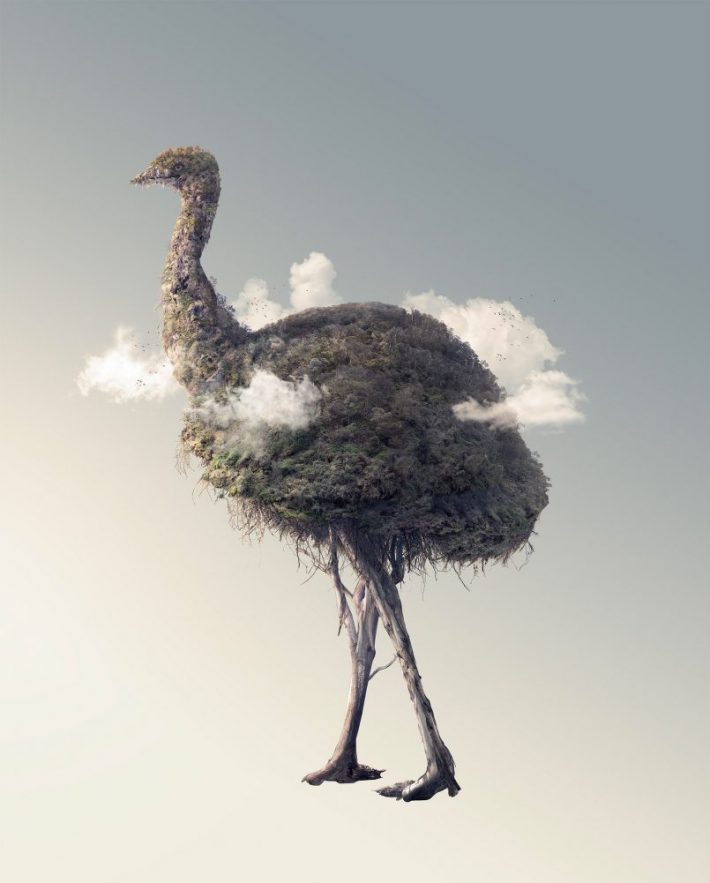 Amazing-Photographic-Illustrations 