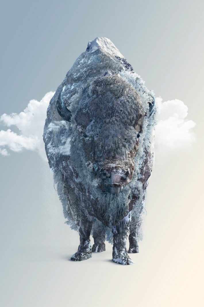 Amazing-Photographic-Illustrations 