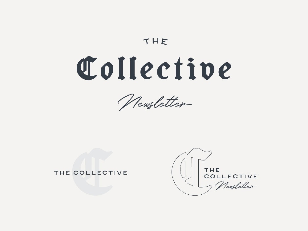 Political Campaign Logo Inspiration