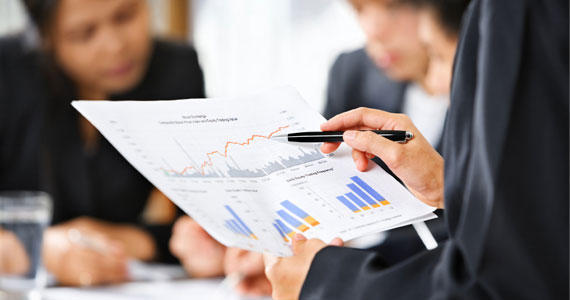 Successful Web Design Freelance
