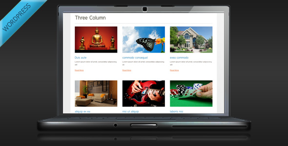 TS Display WordPress Plugin