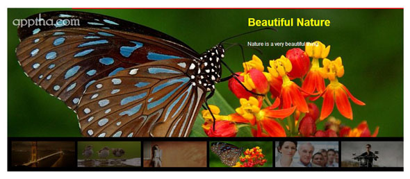 WordPress Photo Gallery