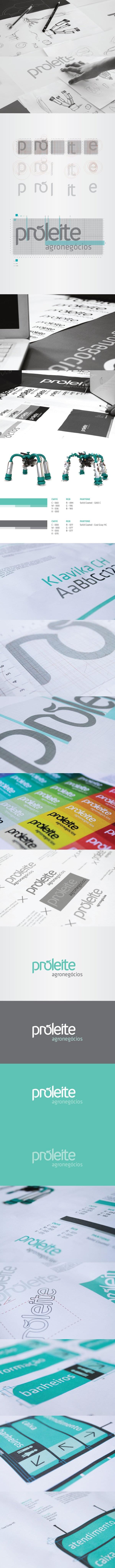 animal logo design inspiration