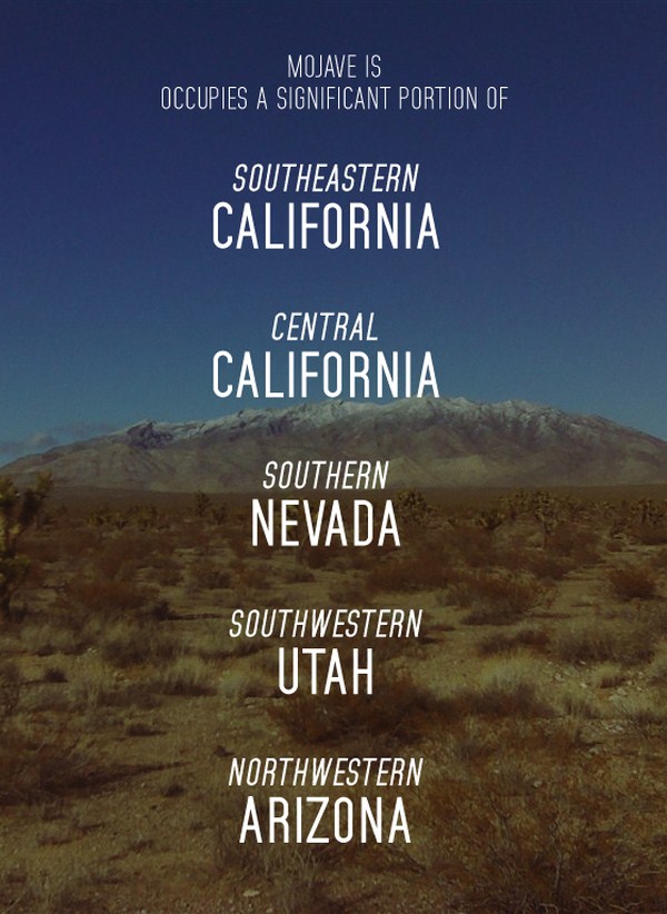 Mojave Typeface