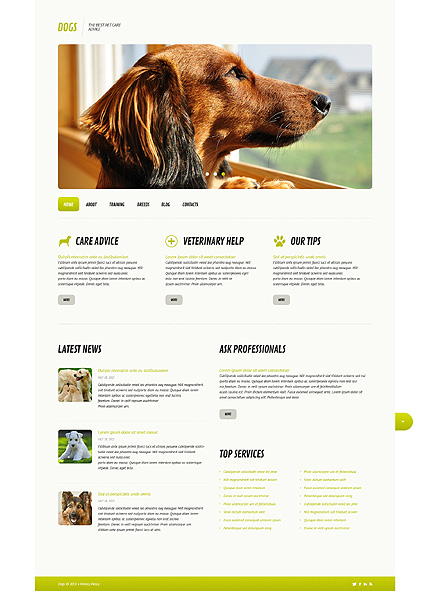 Newest WordPress Themes