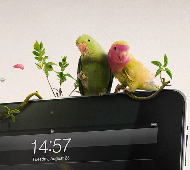 Examples-of-Creative-Photo-Manipulation