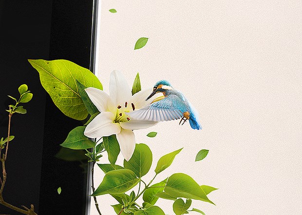 Examples-of-Creative-Photo-Manipulation