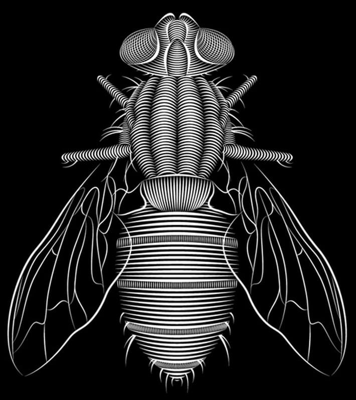 Brilliant-Digital-Art-and-Illustration