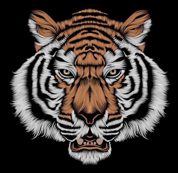 Brilliant-Digital-Art-and-Illustration