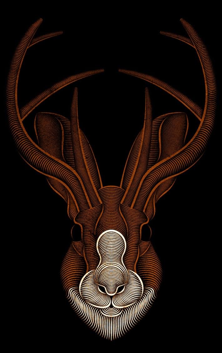 Brilliant-Digital-Art-and-Illustration