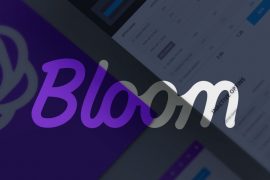 email opt-in plugin bloom