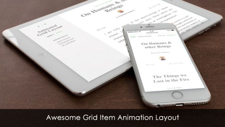 Awesome Grid Item Animation Layout