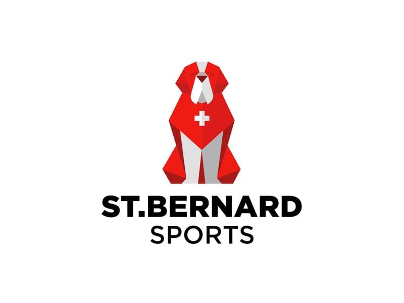 Sports Logo Designs