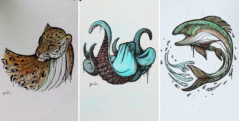 Brilliant Animal Alphabet Illustrations