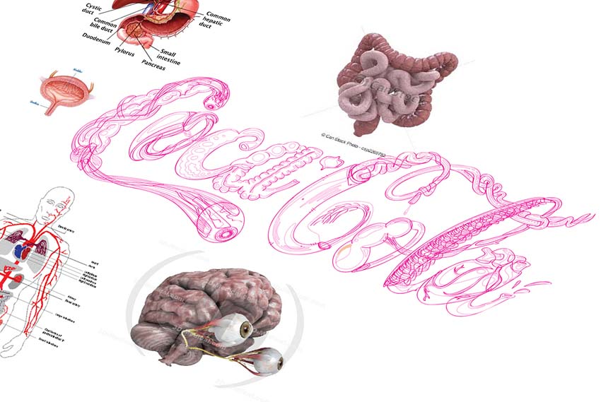 Uncover-the-Truth-Internal-Organ-Damage-by-Coca-Cola-002