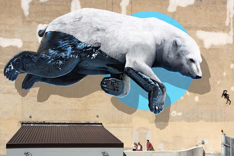 Wonderful Street Art and Graffiti Designs