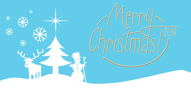 Wonderful Christmas Symbol Fonts