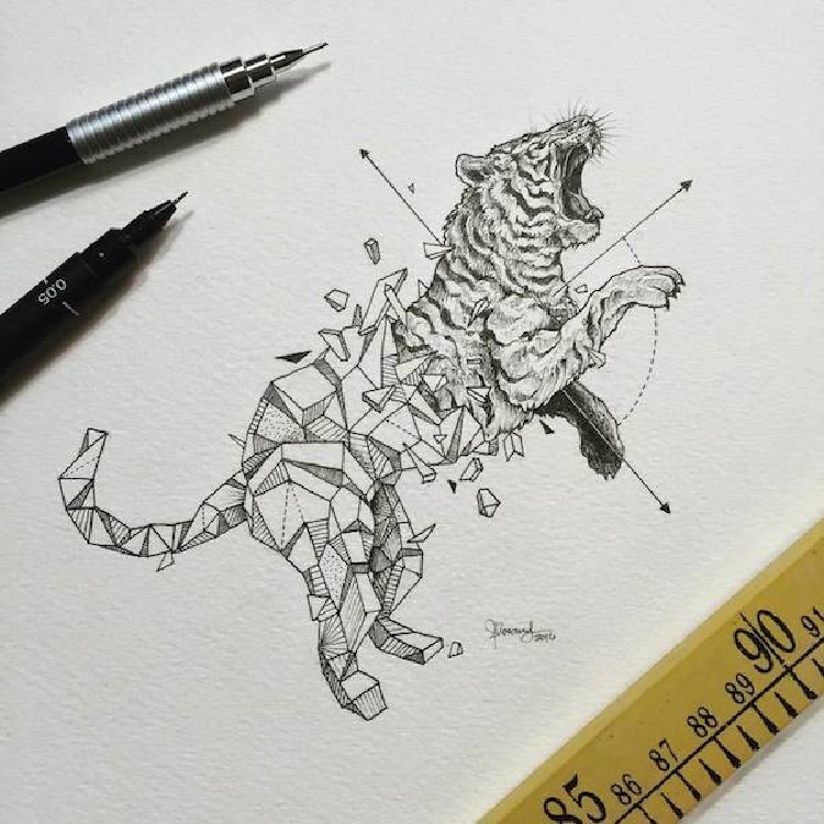 Intricate and Geometrical Drawings of Wild Animals