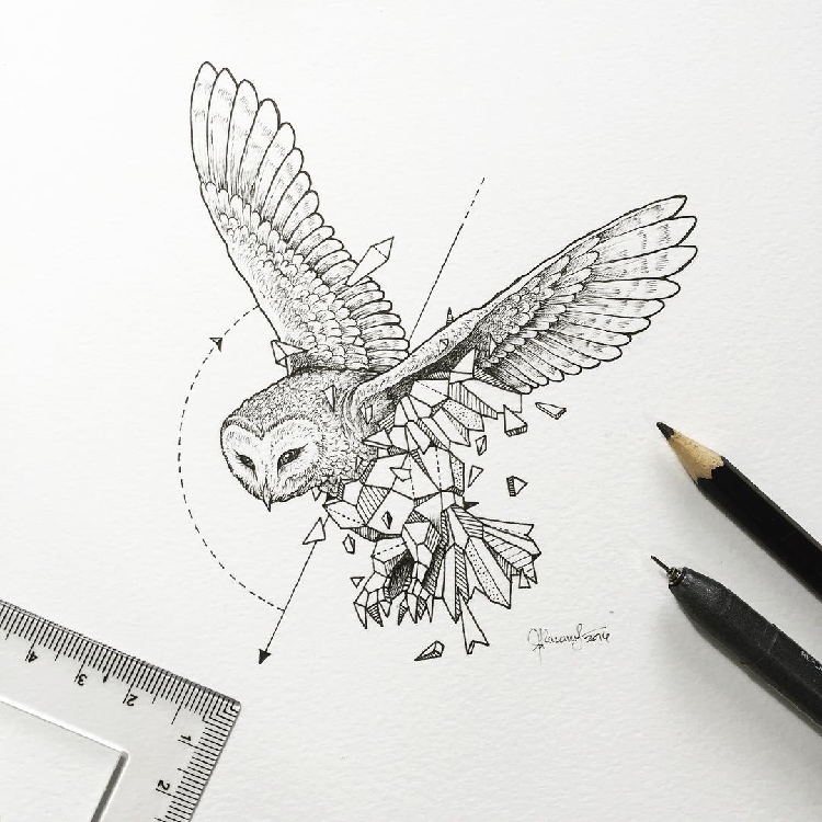 Intricate-and-Geometrical-Drawings-of-Wild-Animals 