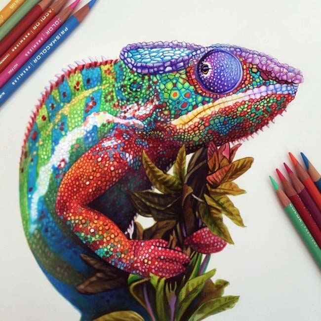 Vibrant-Pencil-Drawings