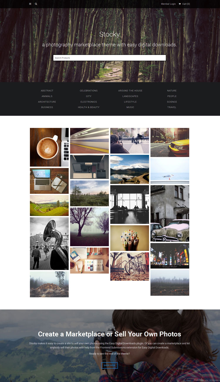 WordPress_Themes_Selling_Digital_Products_of_2016_007