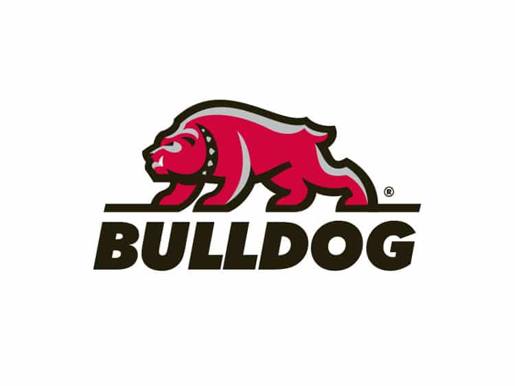 sports logos inspiration
