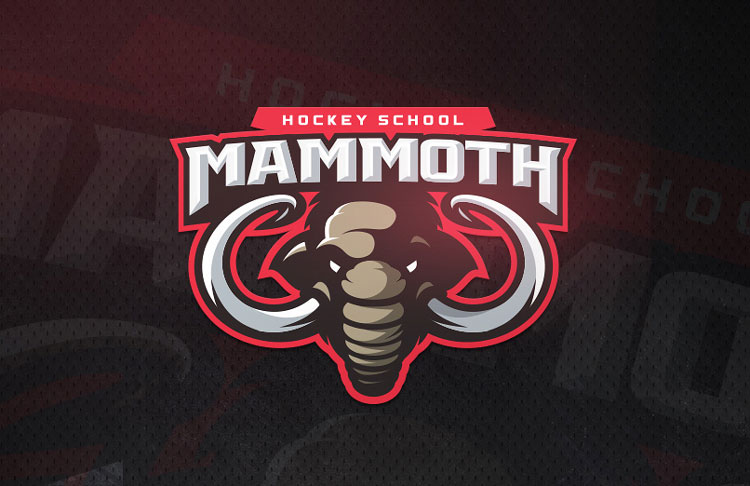 Stunning Logo Design Ideas for Sports