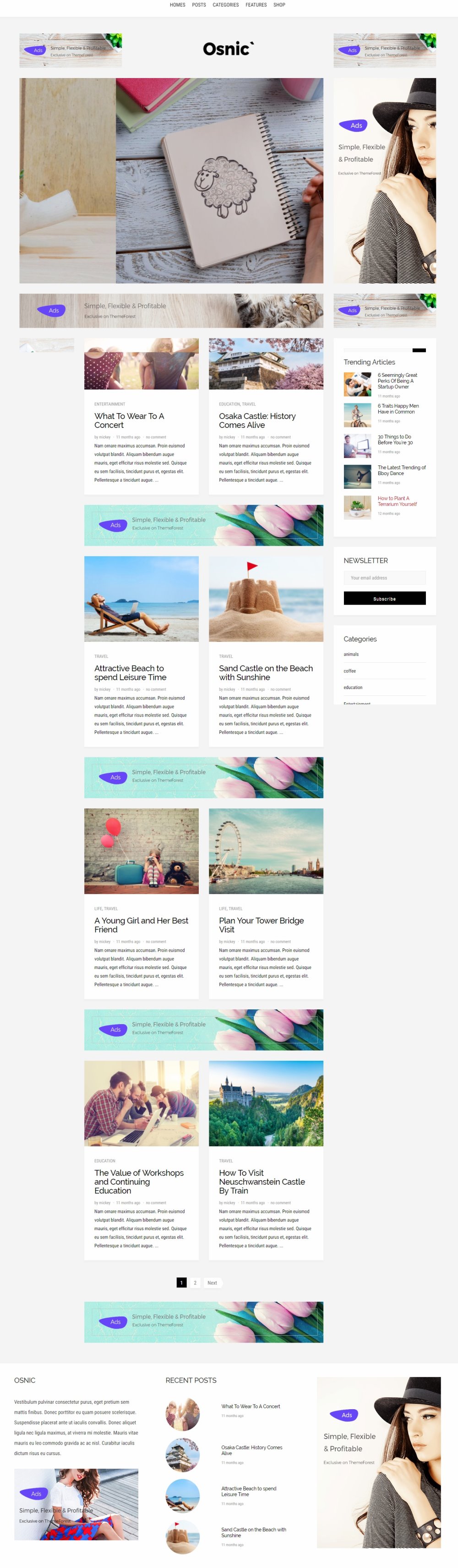 Osnic - AD Optimized BlogMagazine Theme for Adsense & Affiliate