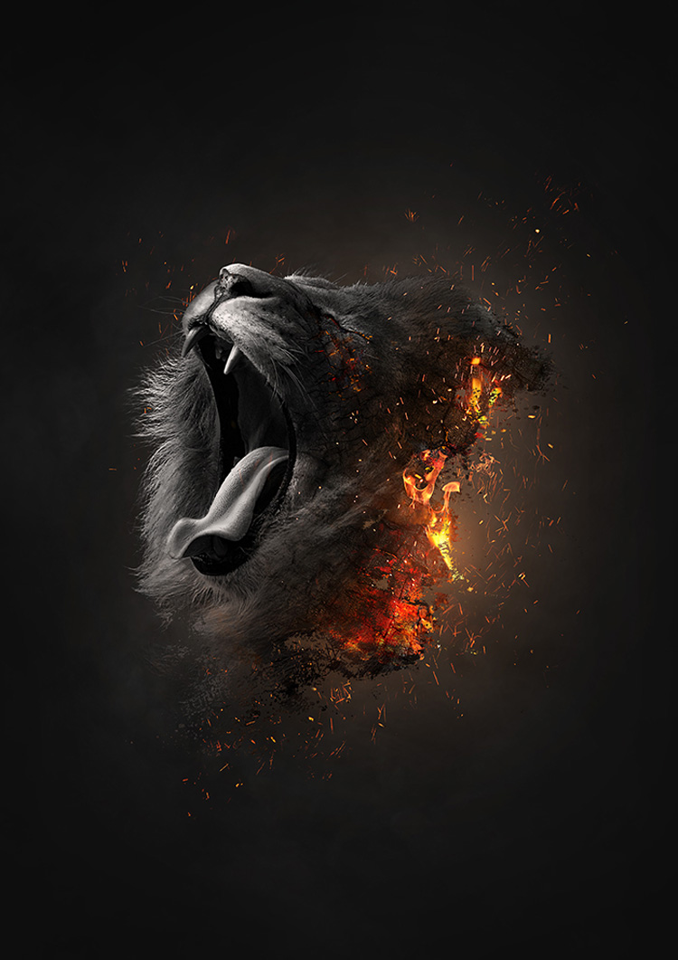 Awesome Digital Art Collection