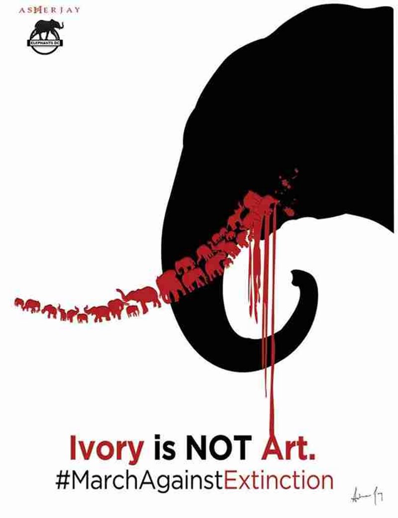 Let's Take A Global Stand Against Extinction