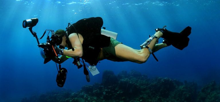 5 Beginner Tips for Underwater Photography