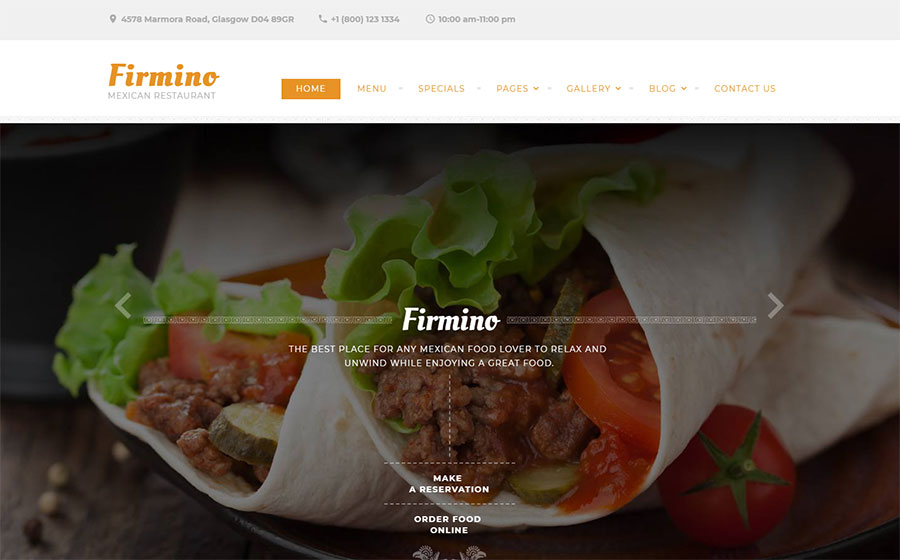 Best Food Web Template