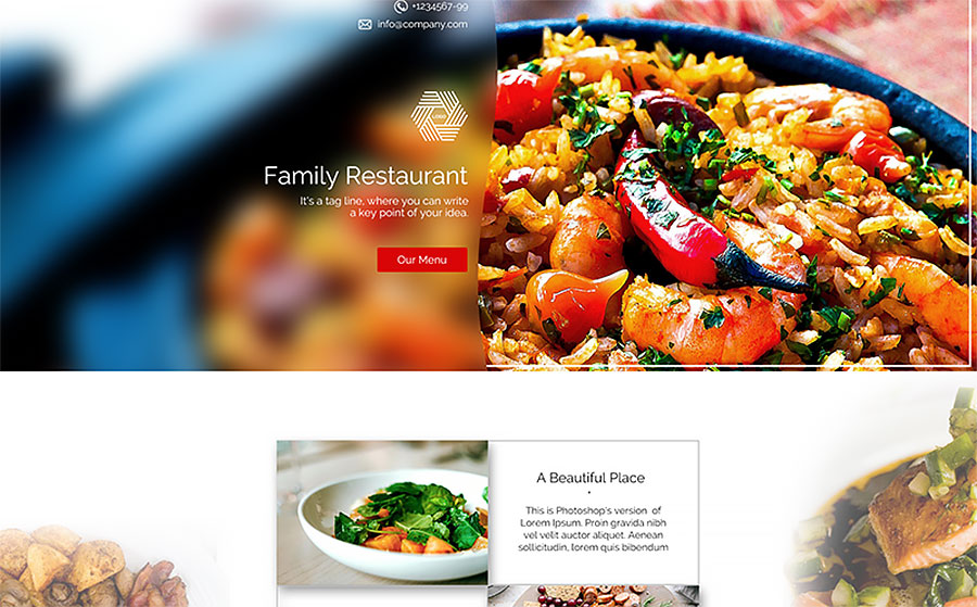 Best Food Web Template