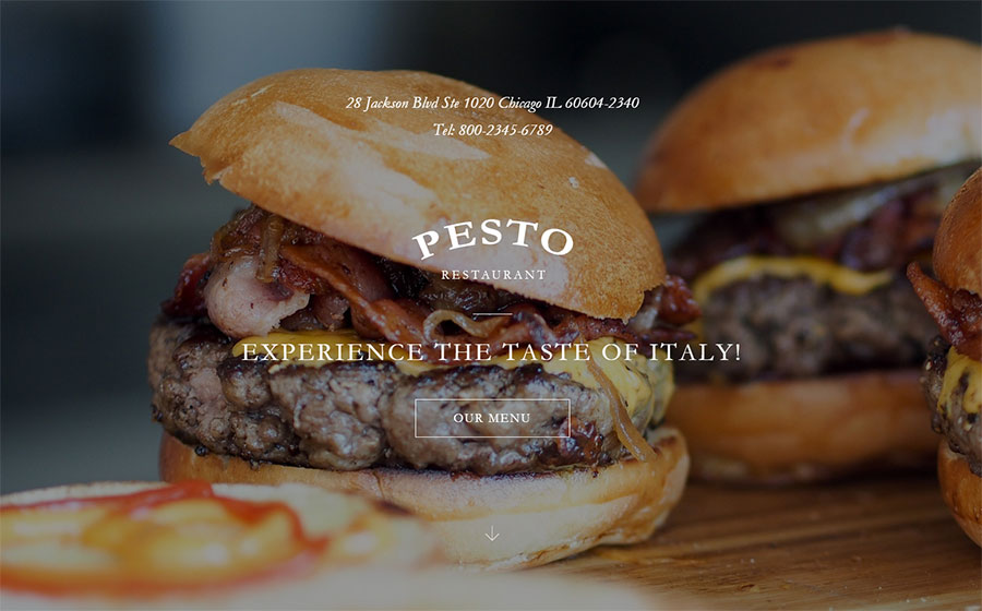 Best Food Web Template