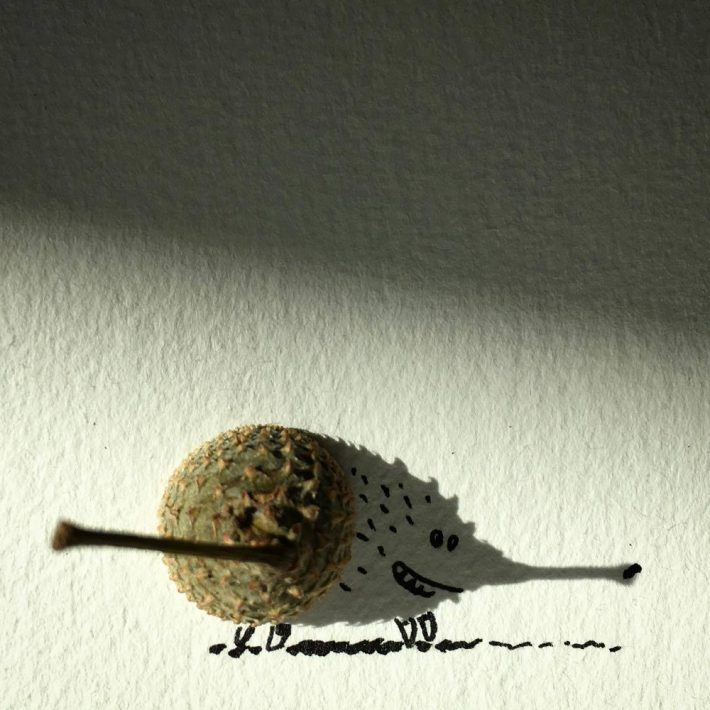 Turn-Shadows-into-Ingenious-Illustrations