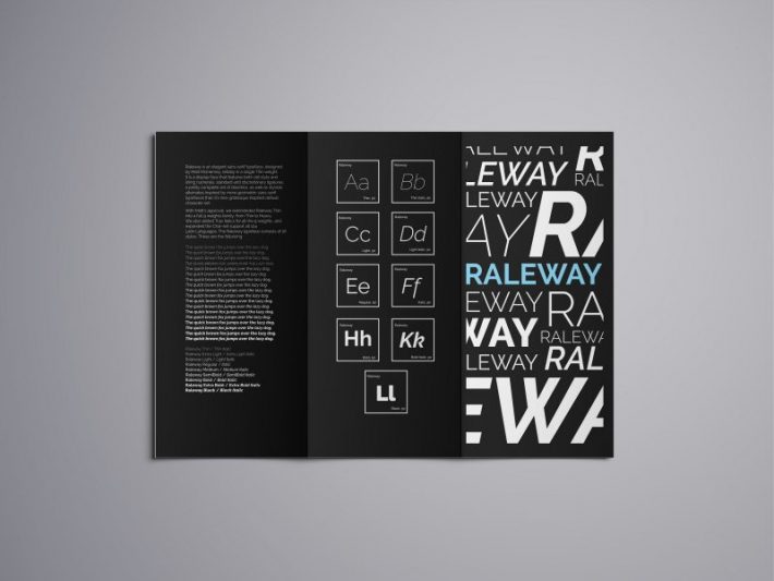 Raleway Font