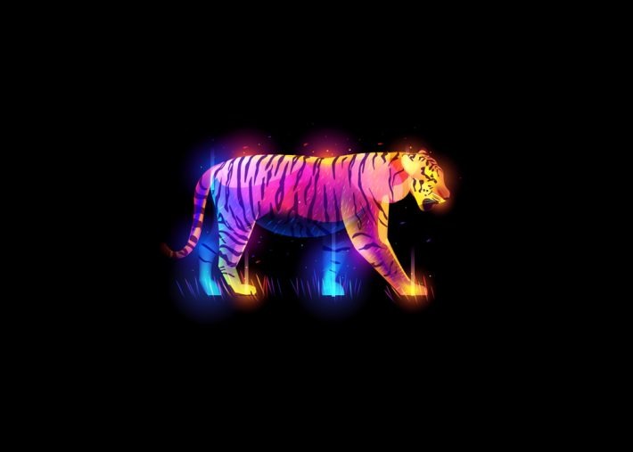 Beautiful Illustration Projects 