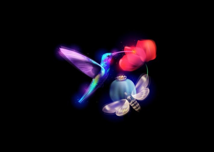 Beautiful-Illustration-Projects 