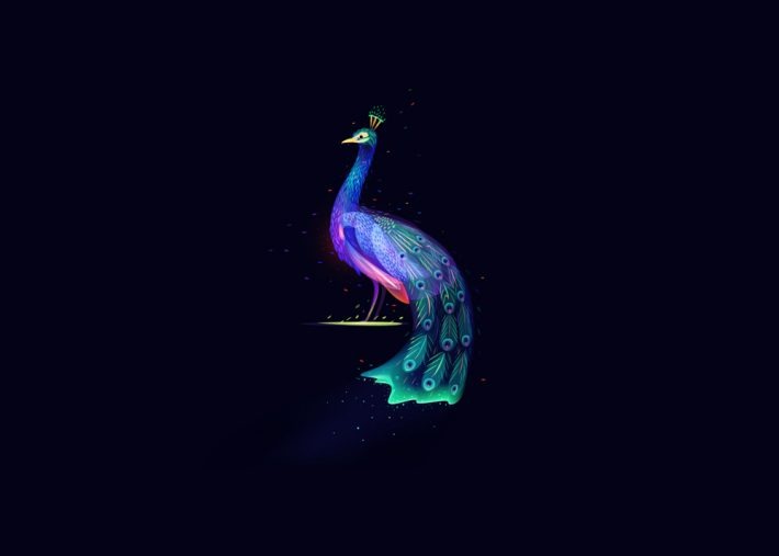 Beautiful Illustration Projects 