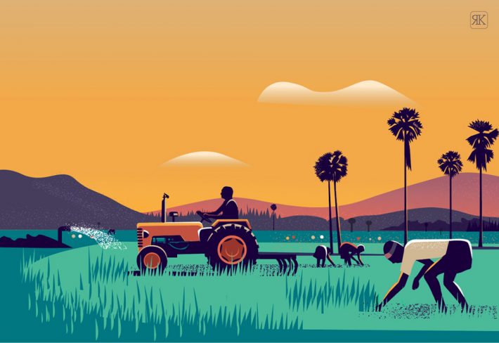 Beautiful Illustration Projects