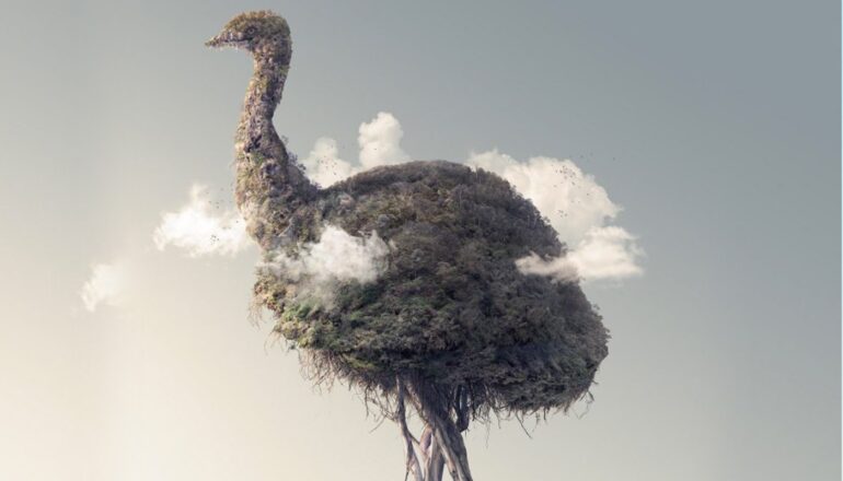 Amazing Photographic Illustrations