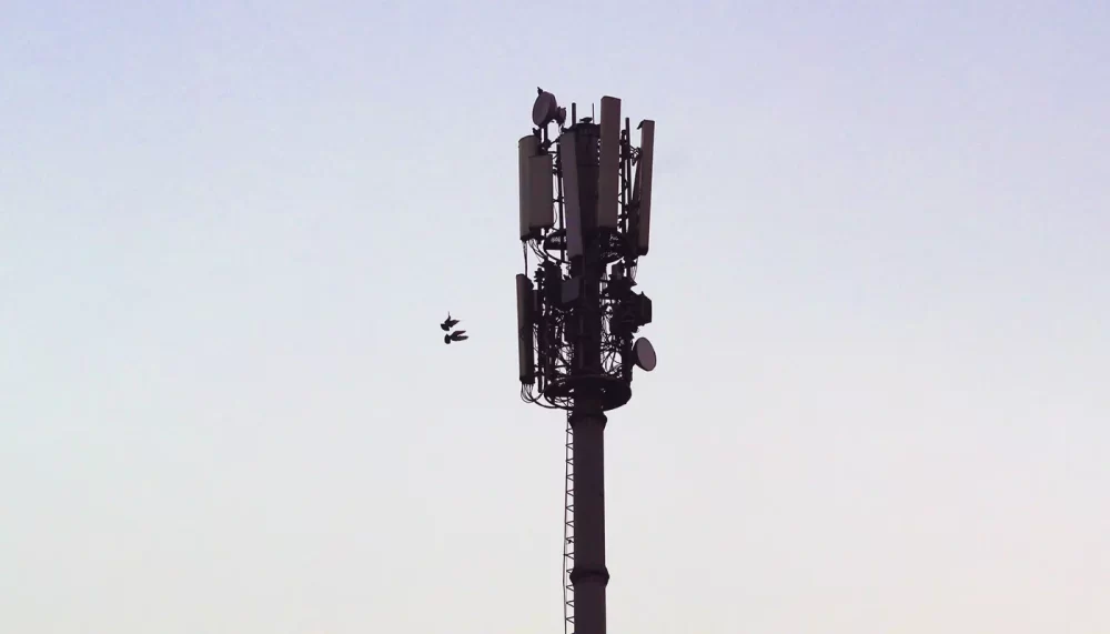 The Power of Physical Cell ID - A Complete 4G-LTE Overview