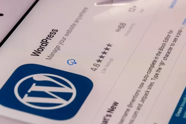 What are the Key Considerations When Choosing a WordPress Theme