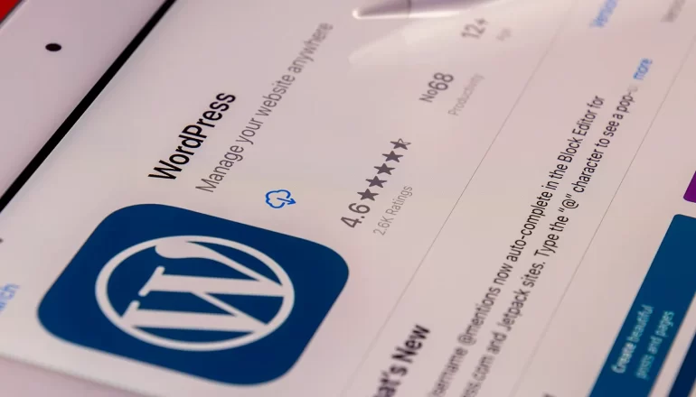 What are the Key Considerations When Choosing a WordPress Theme